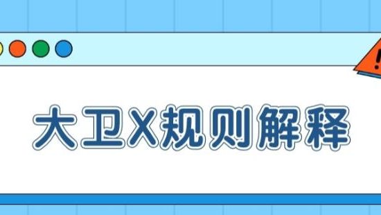 《大卫X规则解释【一致性】》百度云下载【100802】