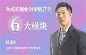 【完结】傅嘉祺 系统掌握婚姻情感咨询6大模块52集视频教程