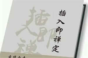 《插入即禅定》PDF电子版/无水印